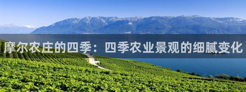 金年会手机登录