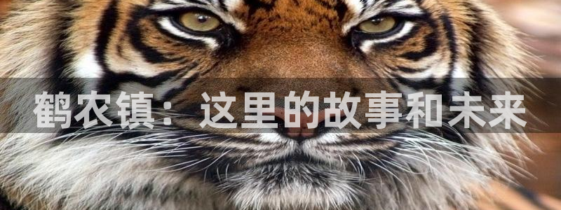 金年会赞助曼联