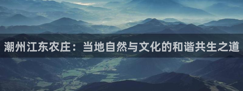 金年会官网地址