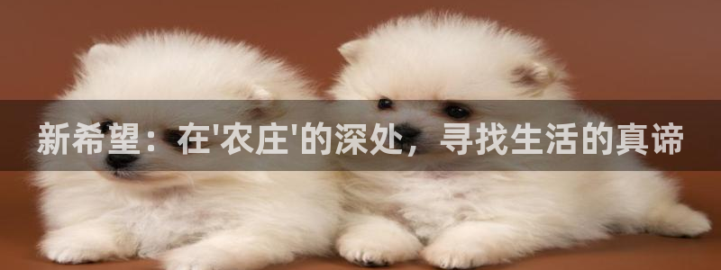 金年会体育娱乐