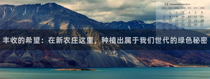 金年会平台是不是大台子