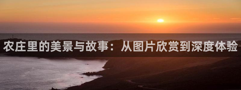 金年会娱乐提现