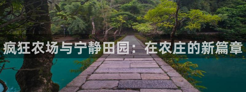 金年会官网地址