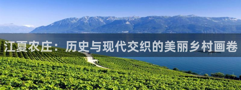 金年会娱乐下载app