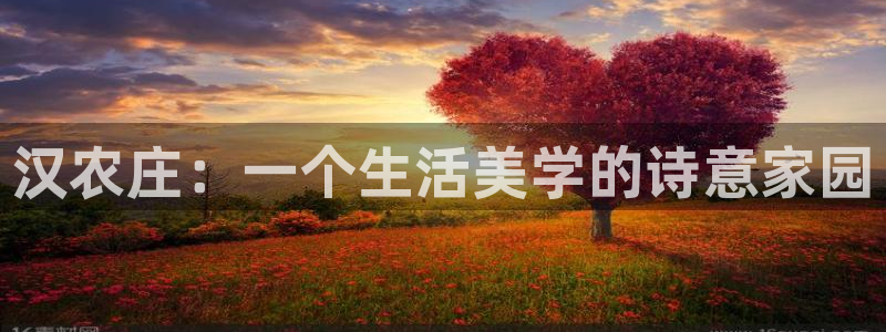 金年会能提款吗