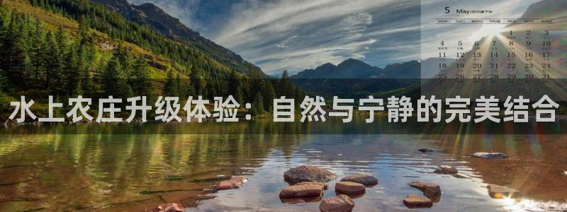 金年会平台游戏