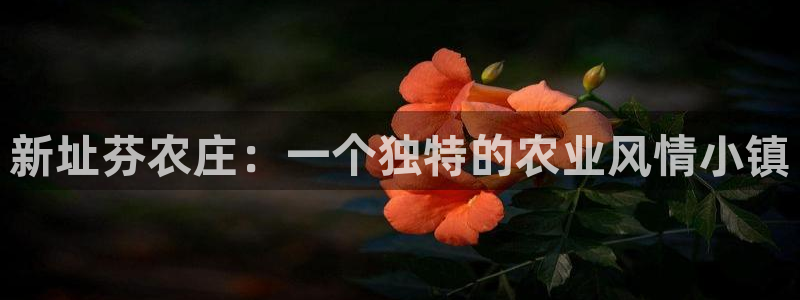 金年会最新下载