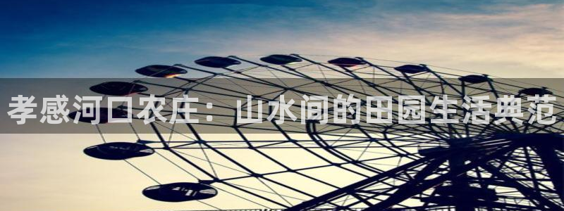 金年会软件在线下载