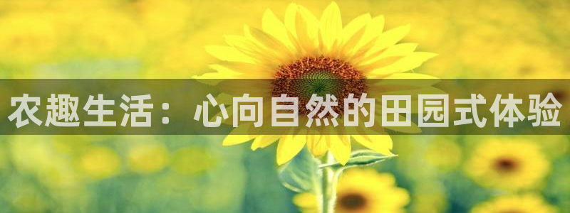金年会网页登录