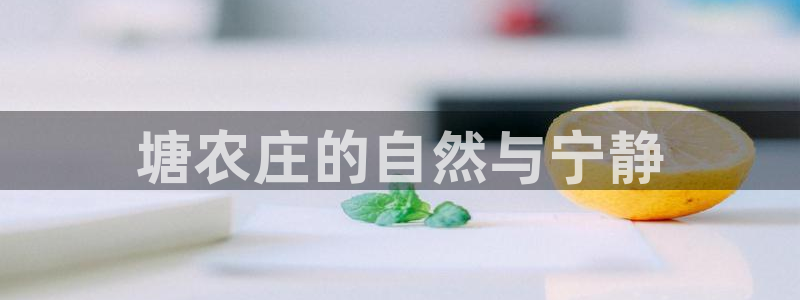世界杯金年会app下载