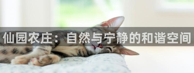 金年会娱乐