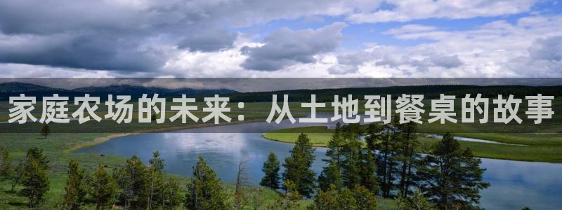 金年会 金字招牌