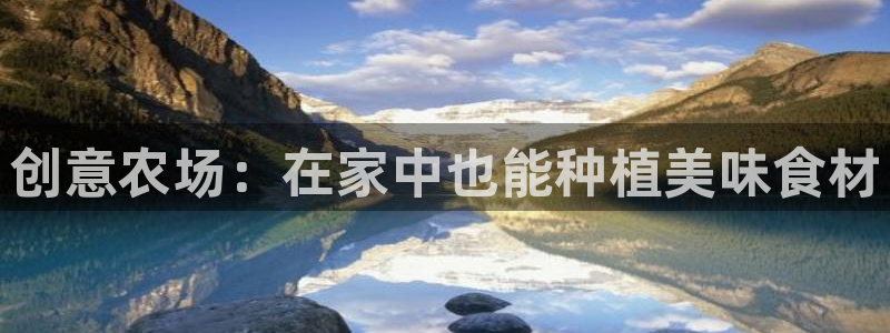 金年会菲律宾