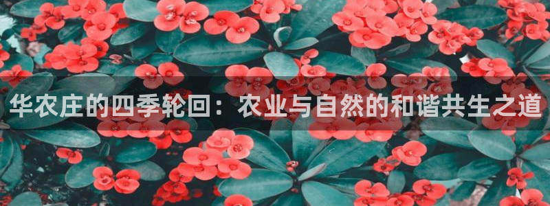 金年会体育官方