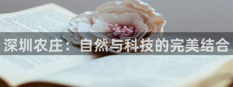 今年会送彩金28