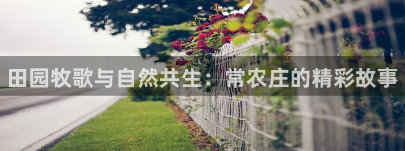 金年会体育