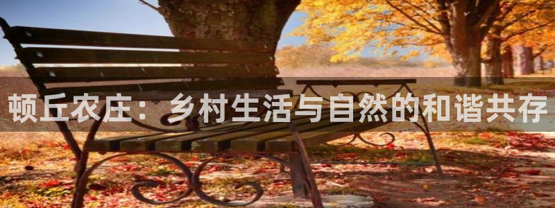 金实年会