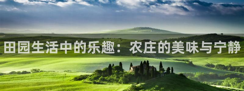金年会能提款吗