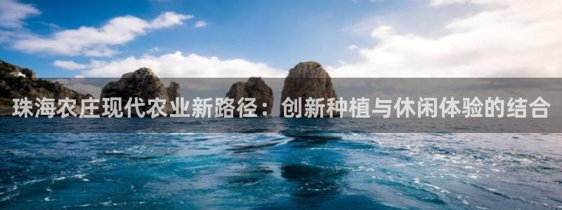 金年会软件之家下载