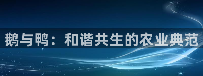 金年会综合APP