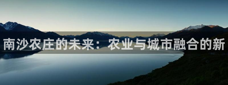 金靖年会