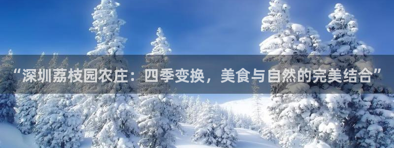金年会平台是什么