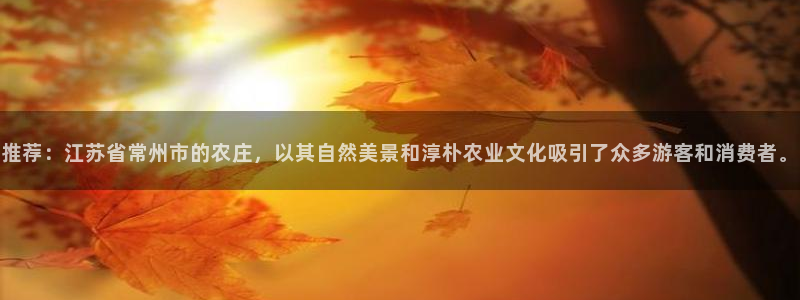 金年会电子