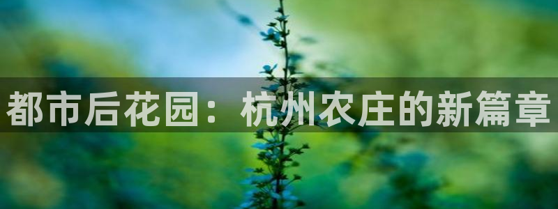 金年会娱乐