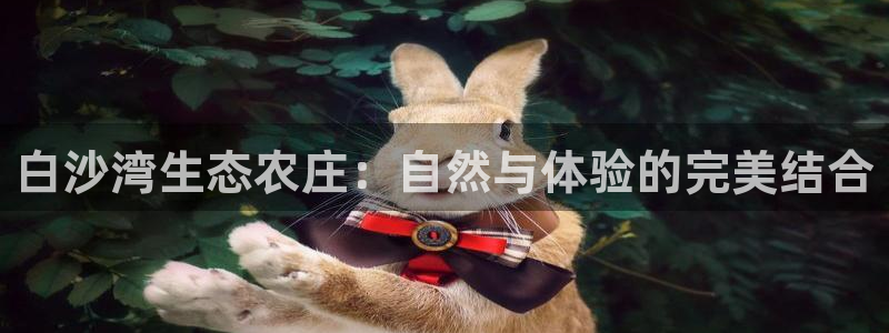 金年会棋牌