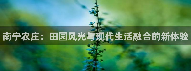 金年会电子游戏